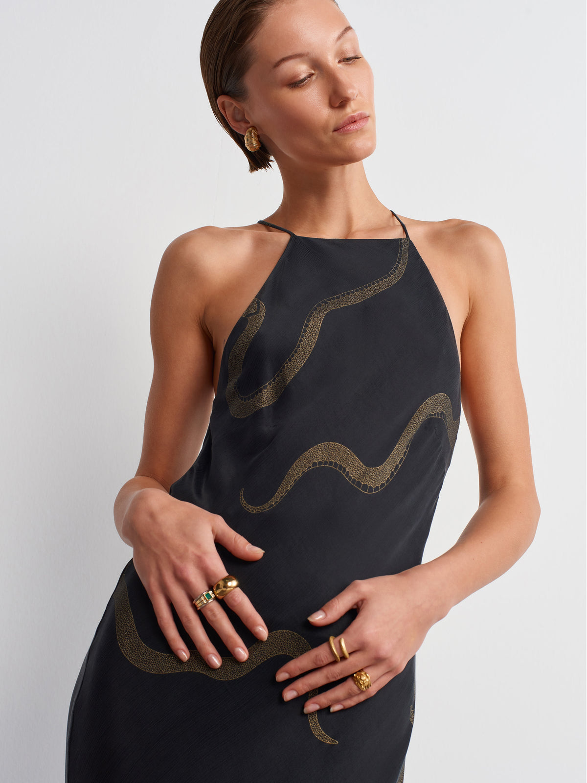 Dragon Dress