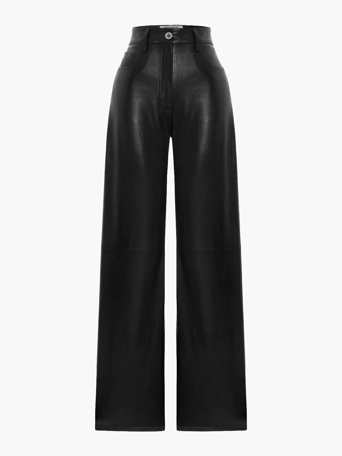 Root Leather Pants